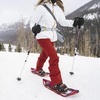 image:imageYukon Charlies Advanced Float Trekking Poles