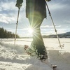 image:imageYukon Charlies Advanced Float Trekking Poles