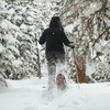image:imageYukon Charlies Advanced Float Womens Snowshoe Various SizesSingle