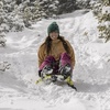 image:imageYukon Charlies Hammerhead Pro HD Sled  Single Rider Speed and Steering Control 52inch x 22inchSled