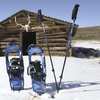 image:imageYukon Charlies Sherpa Trekking Poles Twist Lock Adjustment System Hiking Poles and Snow Baskets Multiple Styles amp SizesPro Trekking Poles