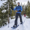 image:imageYukon Charlies Sherpa Trekking Poles Twist Lock Adjustment System Hiking Poles and Snow Baskets Multiple Styles amp SizesPro Trekking Poles
