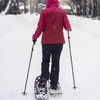 image:imageYukon Charlies Sherpa Trekking Poles Twist Lock Adjustment System Hiking Poles and Snow Baskets Multiple Styles amp SizesSnow Baskets